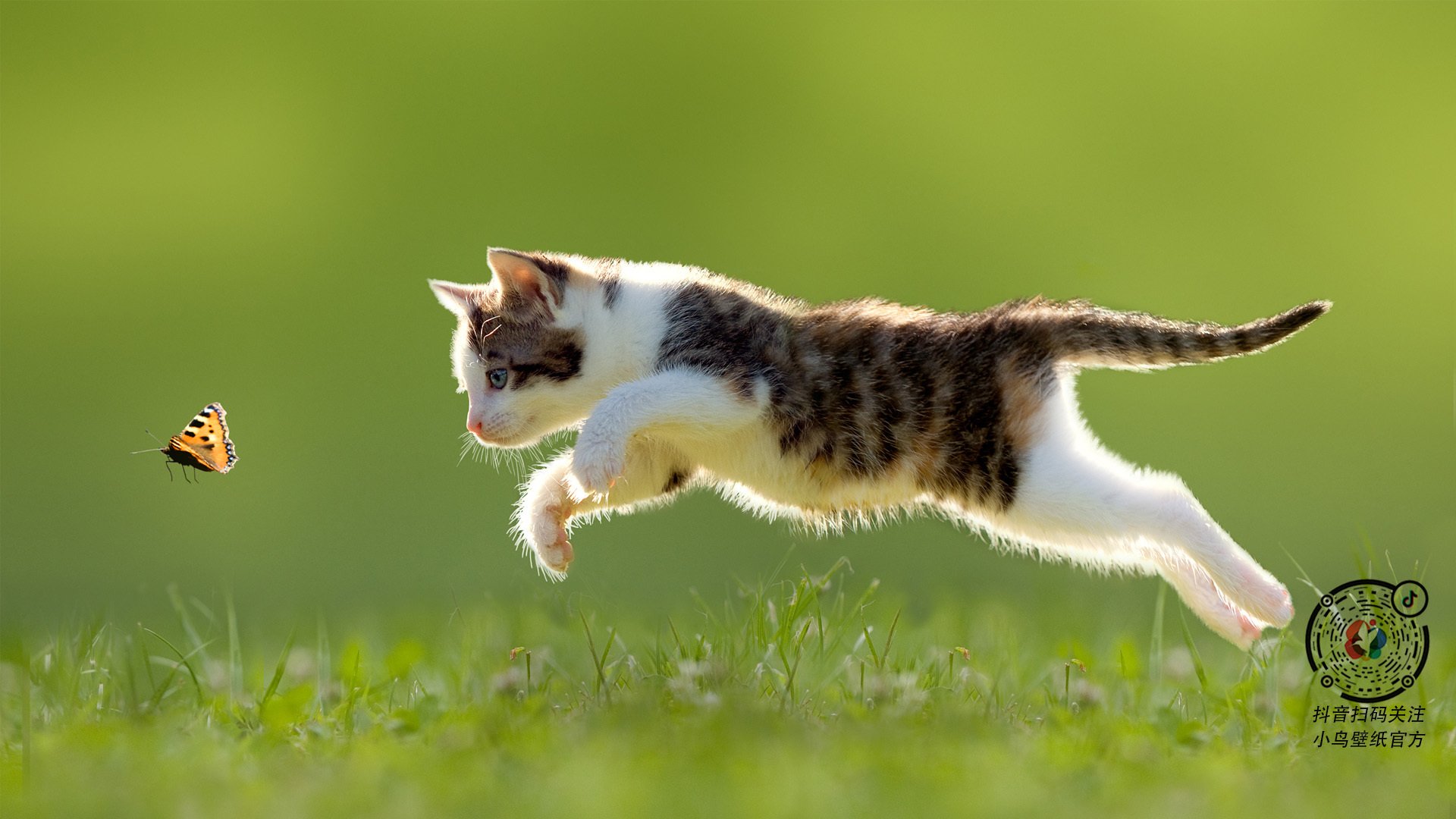 KAIYUNAPP-_电子游戏体育联赛：虚拟世界的竞技舞台_，体育 电子竞技