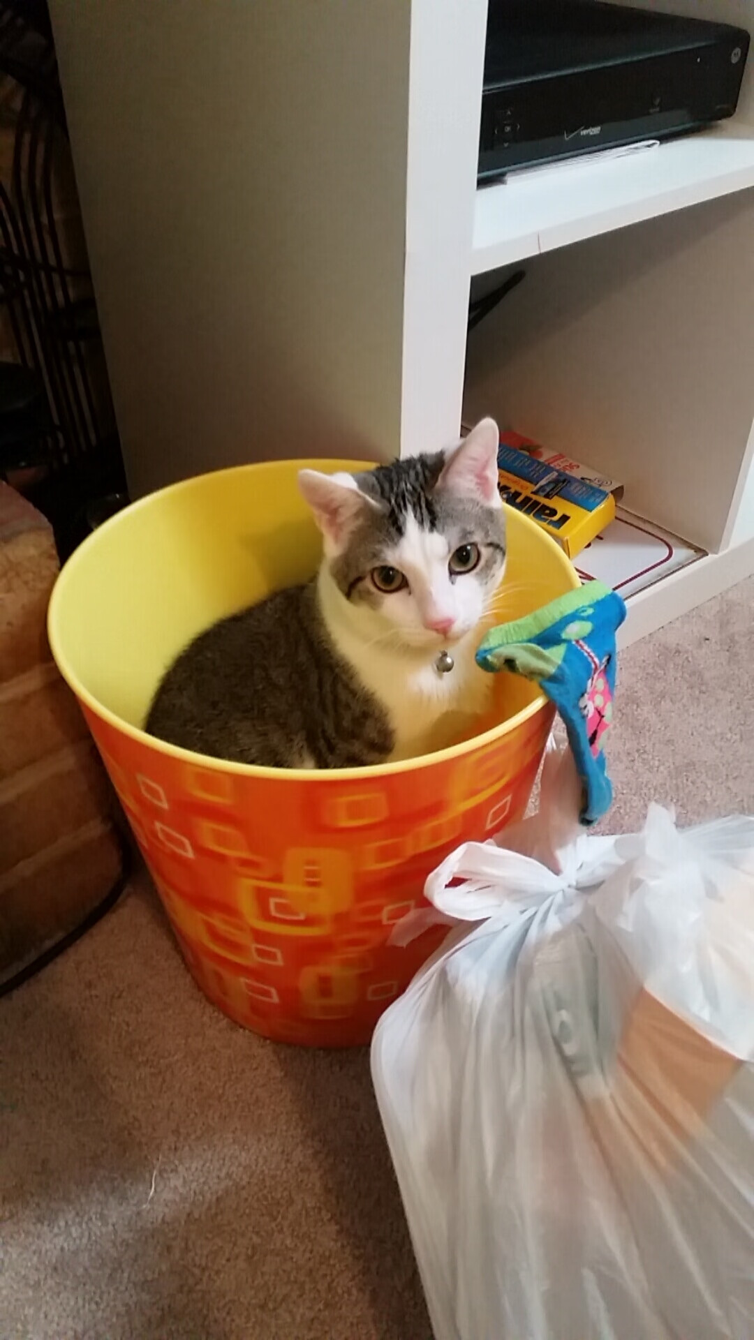 开云在线直播-“足球+科技”新模式推动比赛更智能、更精彩，足球高科技