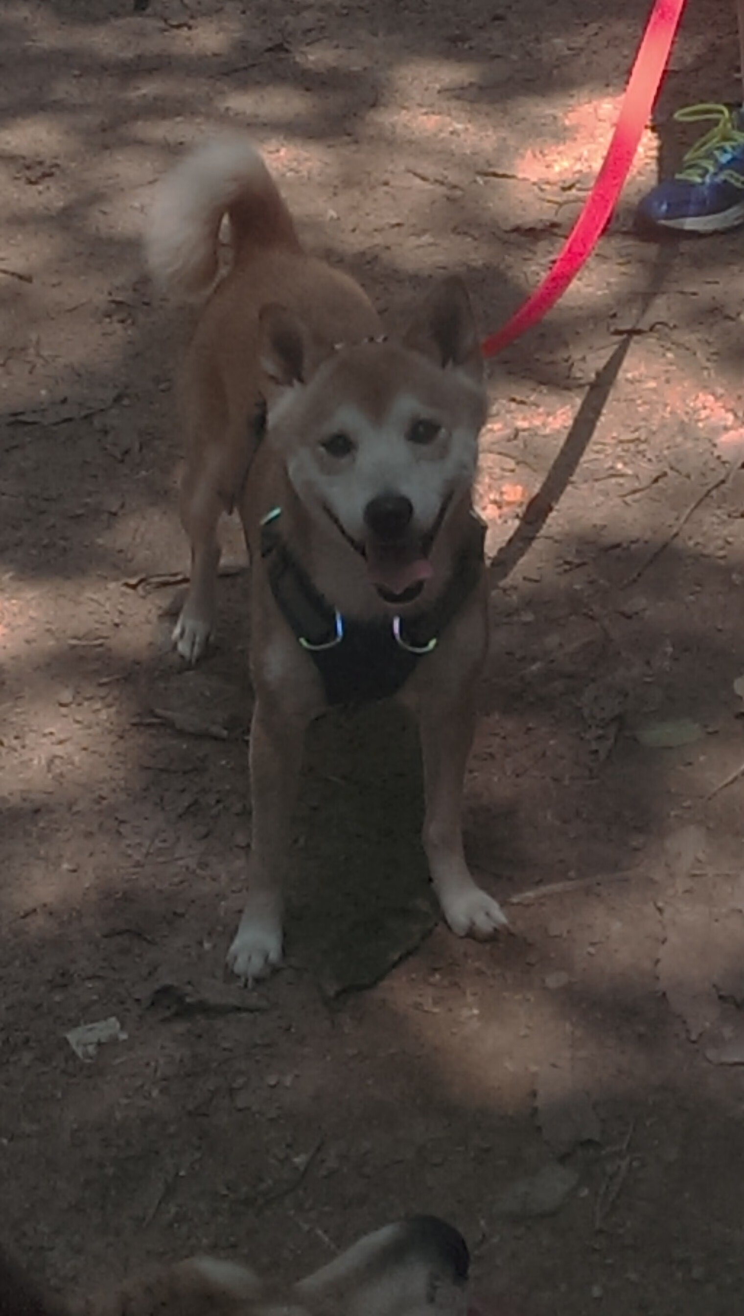 开云APP-电竞赛事观众规模持续扩大，电竞比赛观赛人数统计