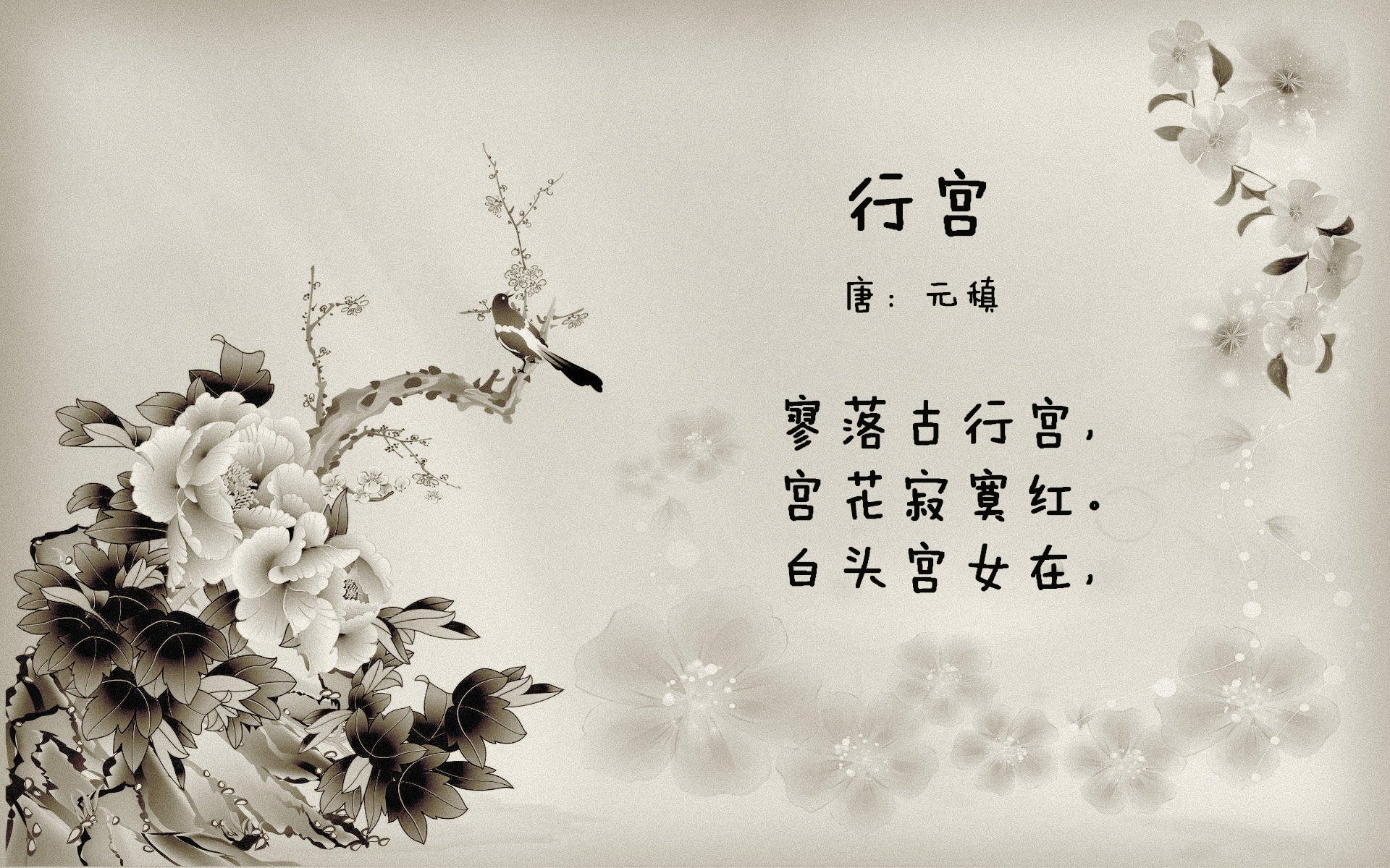 开云体育视频直播-捷克国家队备战计划精密，备战欧锦赛，捷克欧预赛