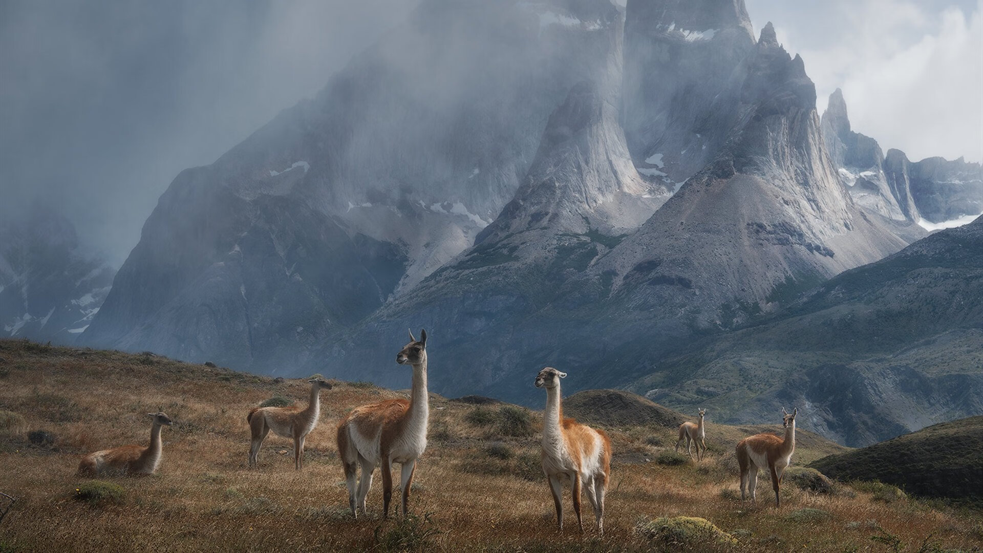 开云网站-法国队欧洲杯半决赛被淘汰，队报今日头版：揭开面具，#2020欧洲杯#法国队