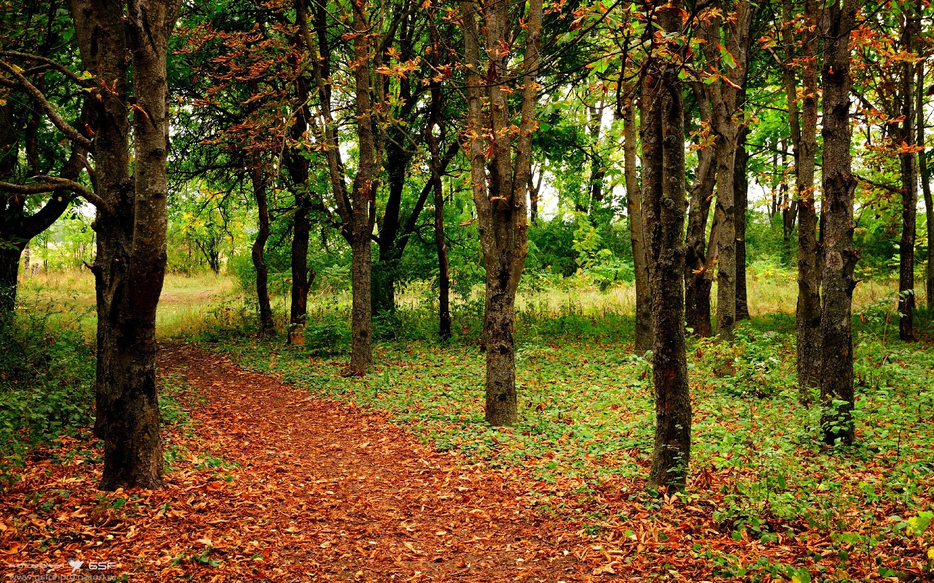 开云·Kaiyun网页版-英超阵地防守与高位抢断结合形成新赛季压迫风格，英超战术分析