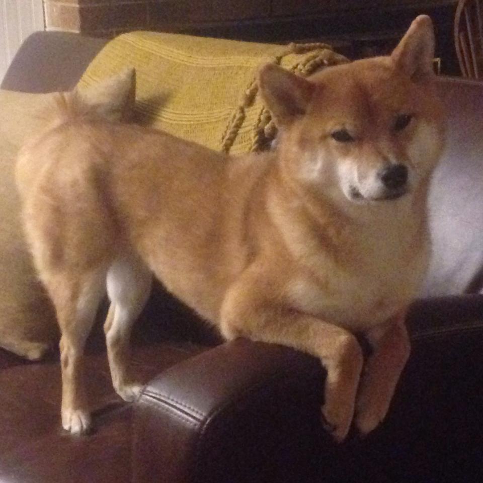 开云体育官方网入口-电竞解说风格多样新生代解说逐渐上位，电竞解说门