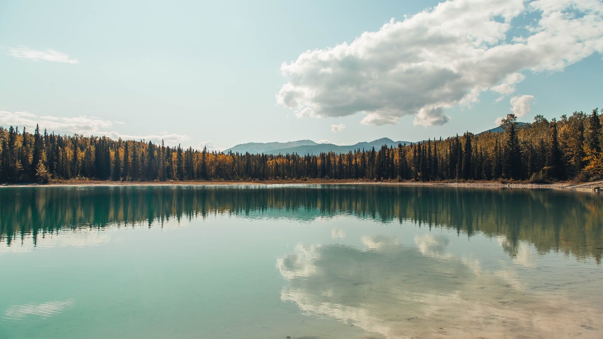 开云-AI裁判助力：未来比赛判罚将实现全自动化，ai裁判 体操