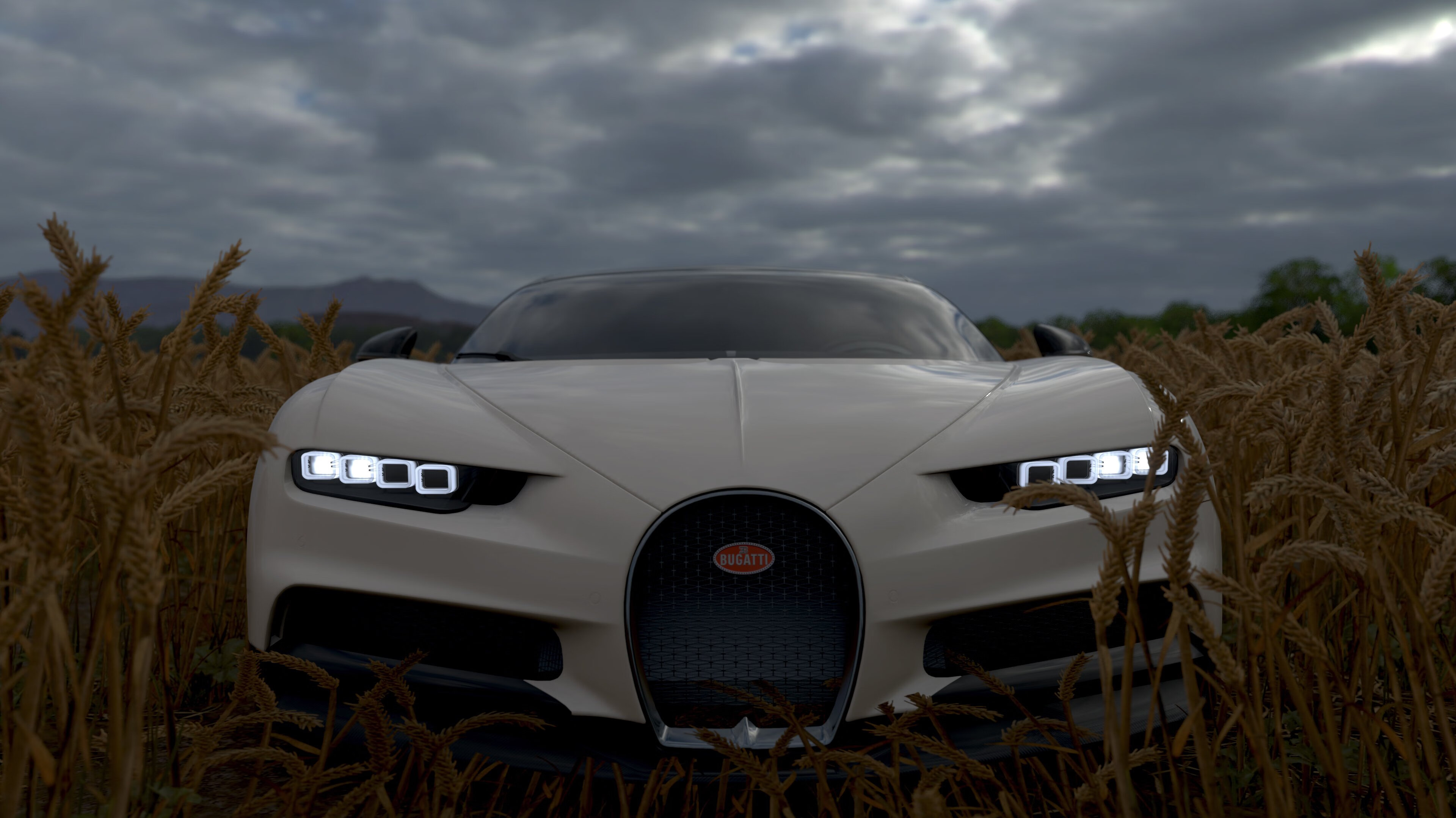 波兰女篮在欧洲锦标赛中奋勇拼搏，争夺金牌，波兰女篮在欧洲锦标赛中奋勇拼搏,争夺金牌